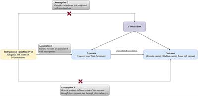 Micronutrients and risks of three main urologic cancers: A mendelian randomization study